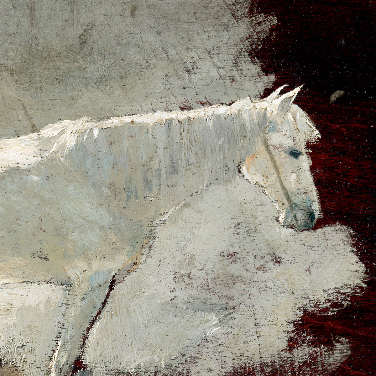 White Mare