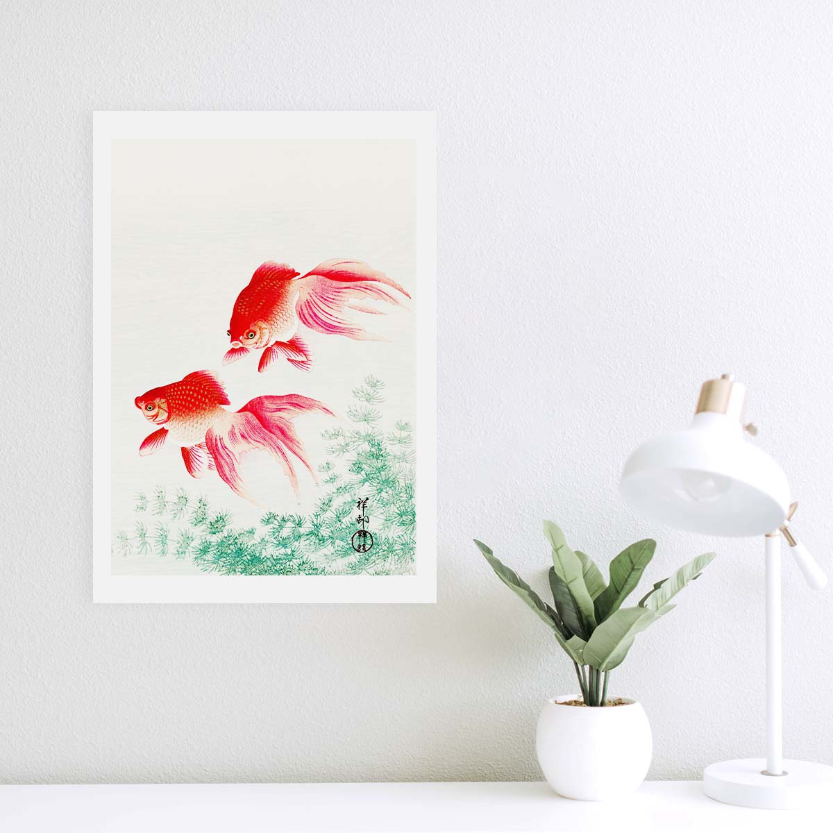 Two veil goldfish