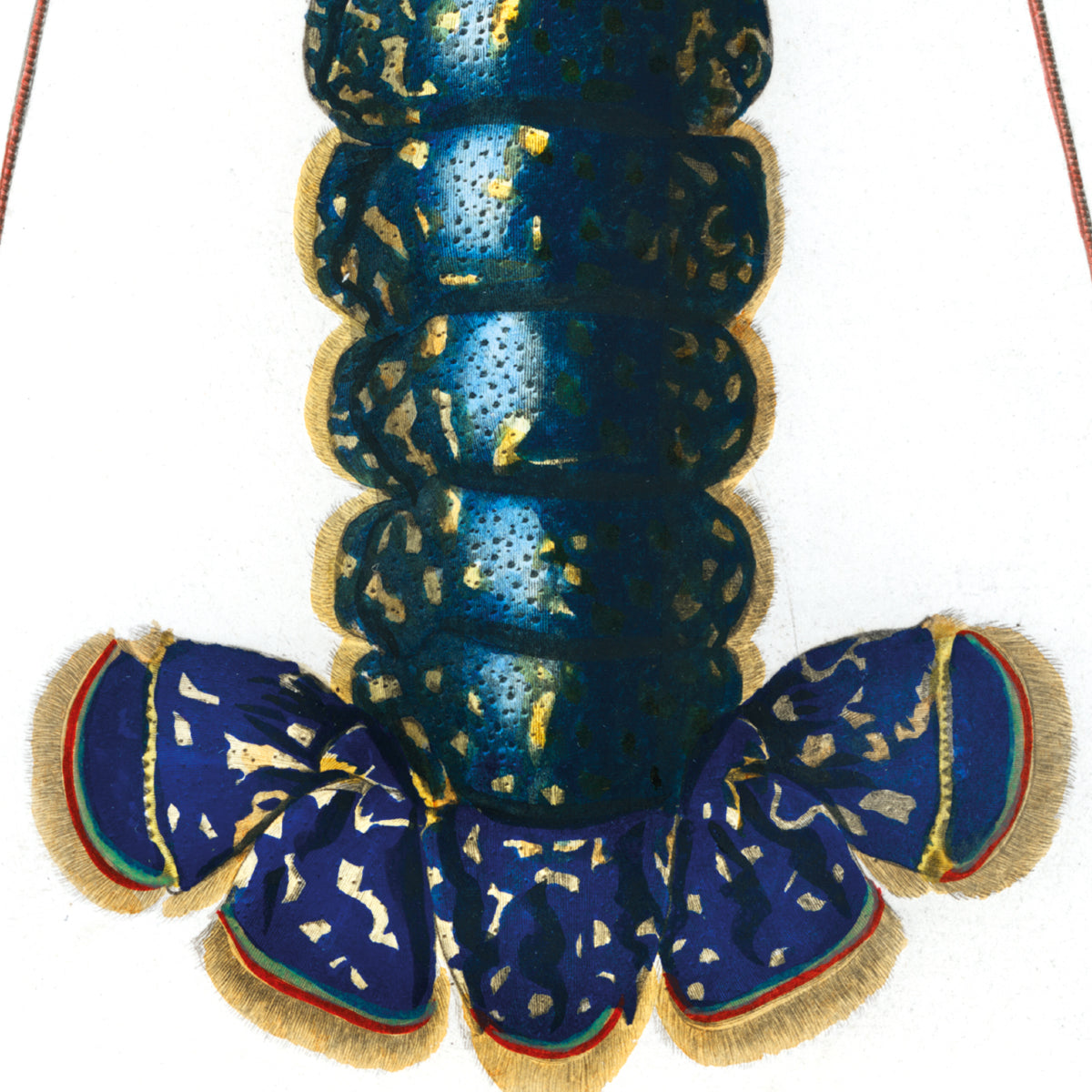 Crimson Crawfish