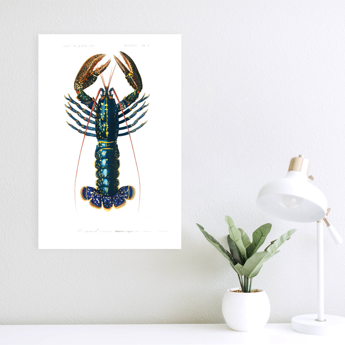 Crimson Crawfish