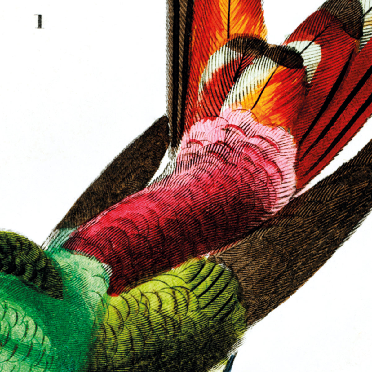 Two Birds