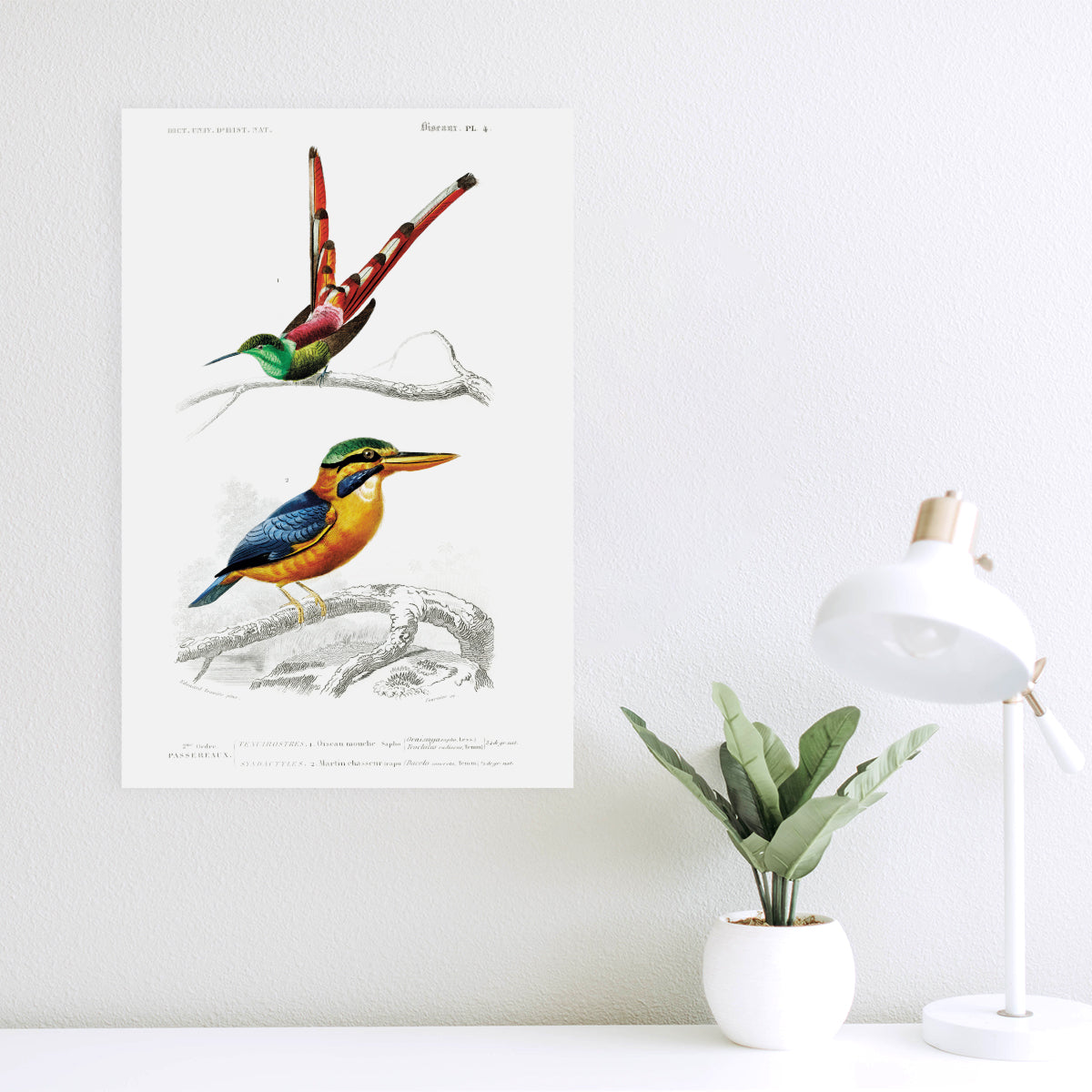 Two Birds