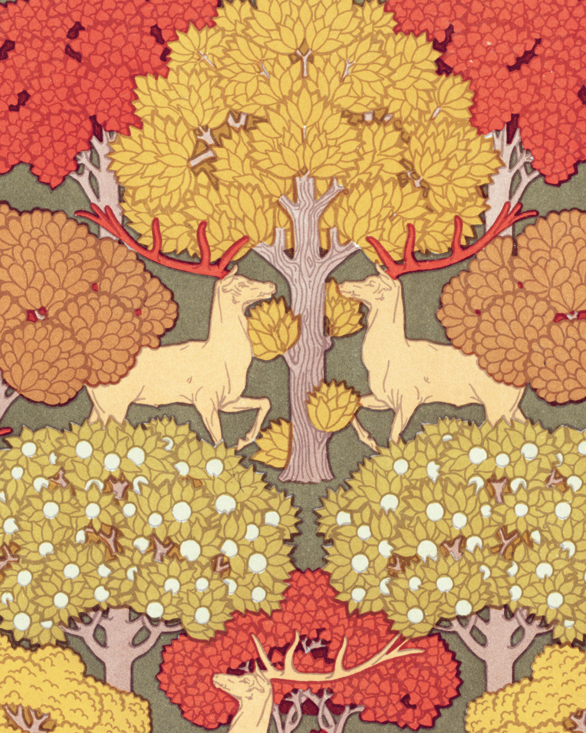 Cerfs et arbres
