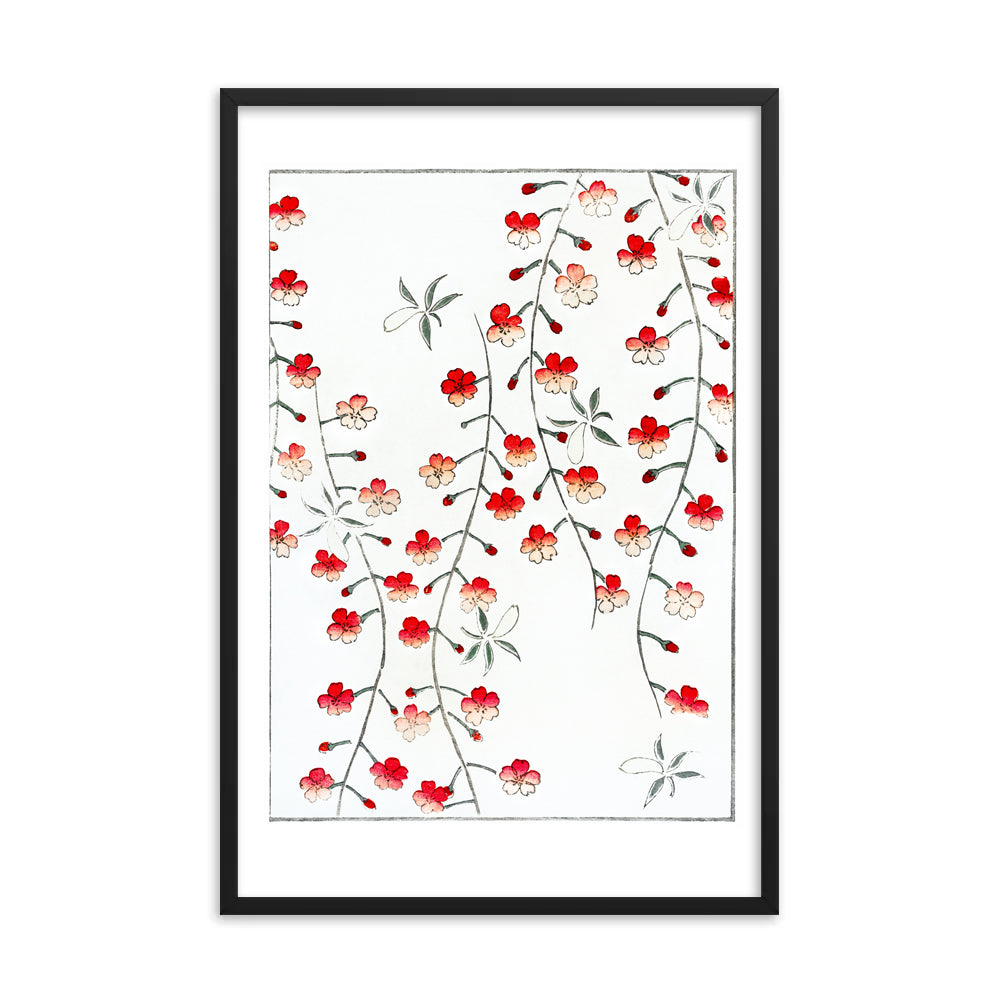 Cherry blossom
