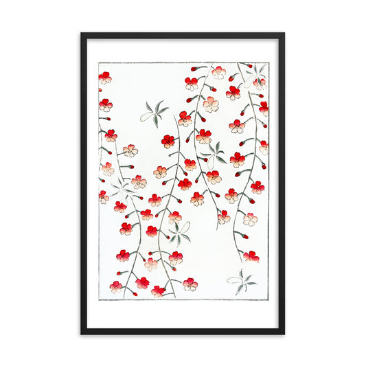 Cherry blossom