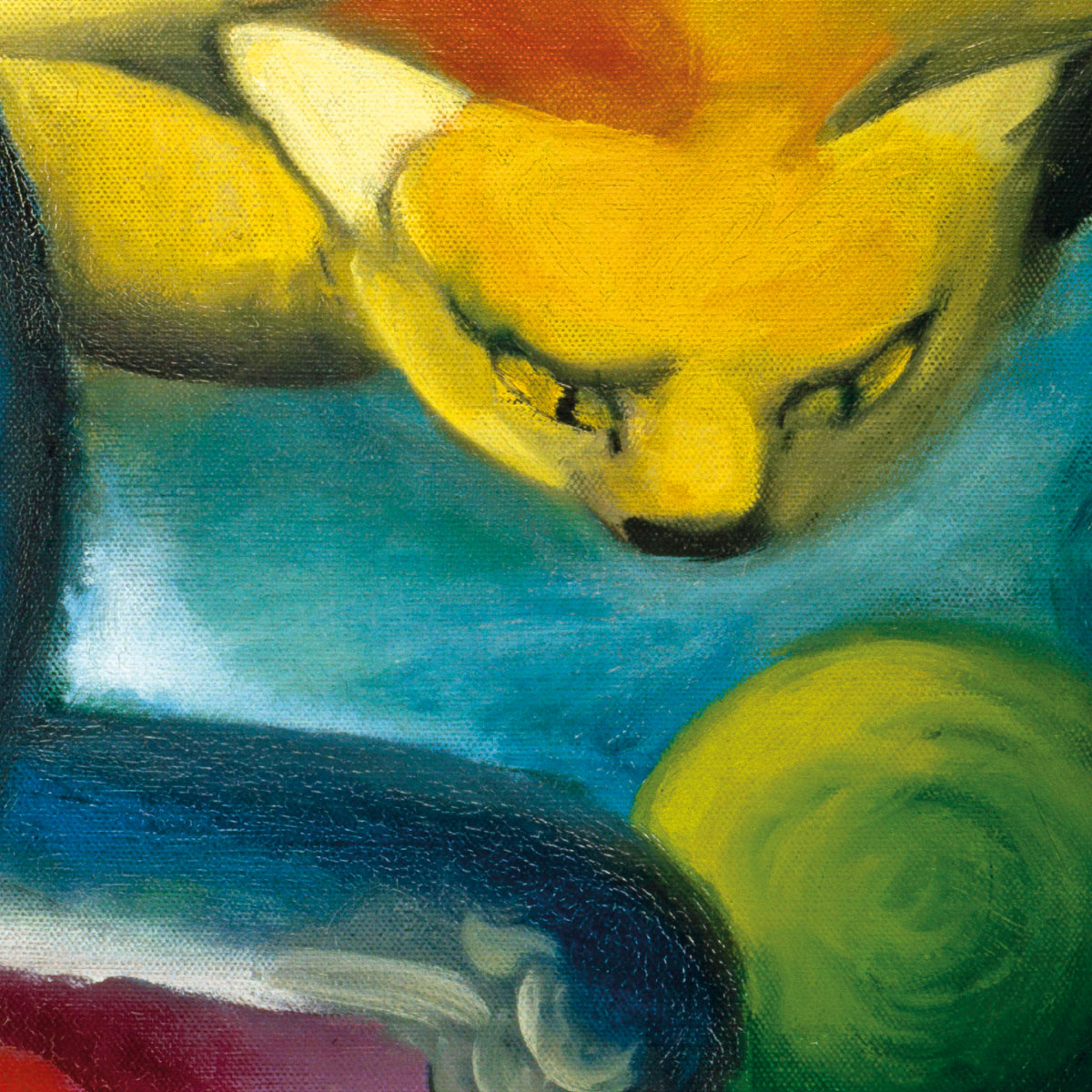 Two cats, blue and yellow
