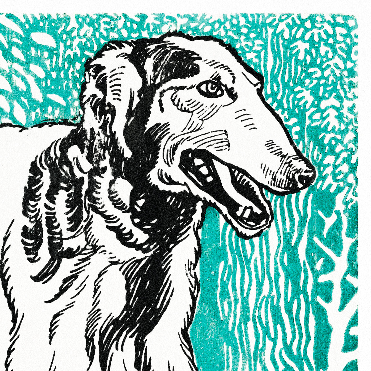 Greyhound