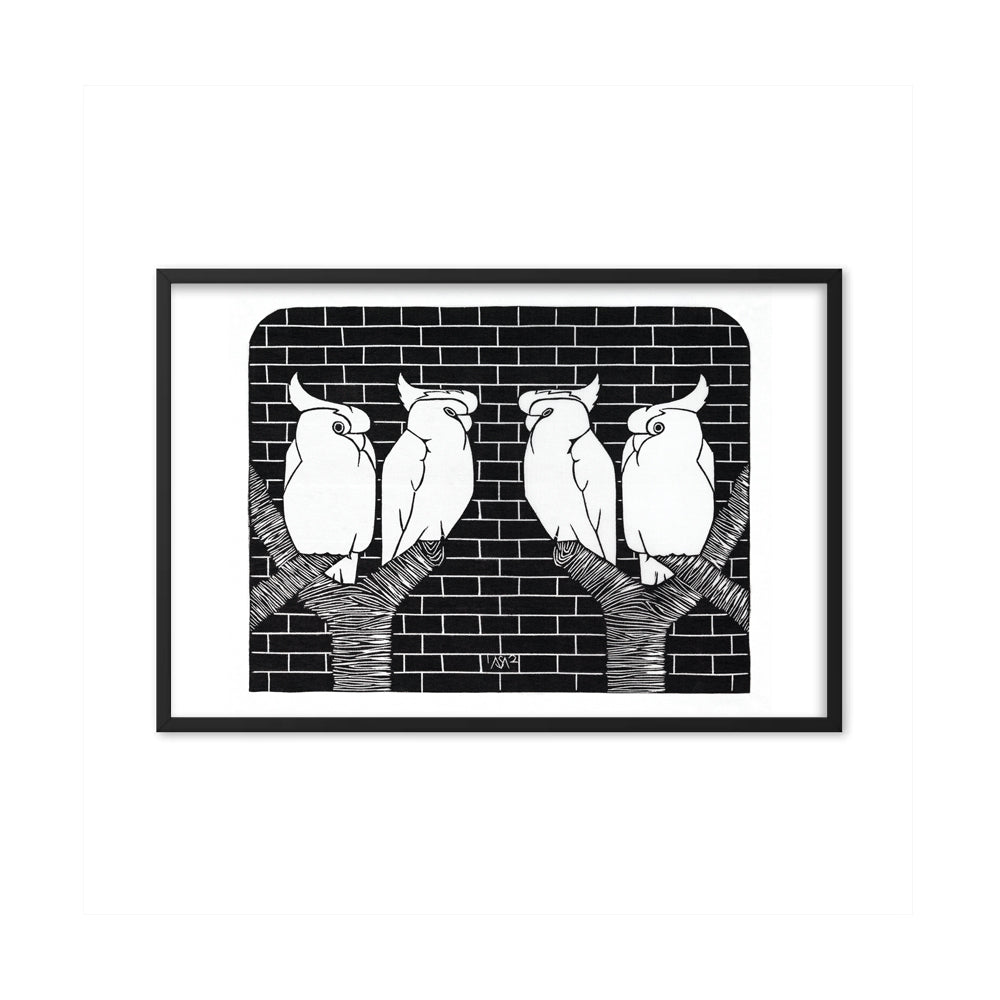 Four crowned cockatoos