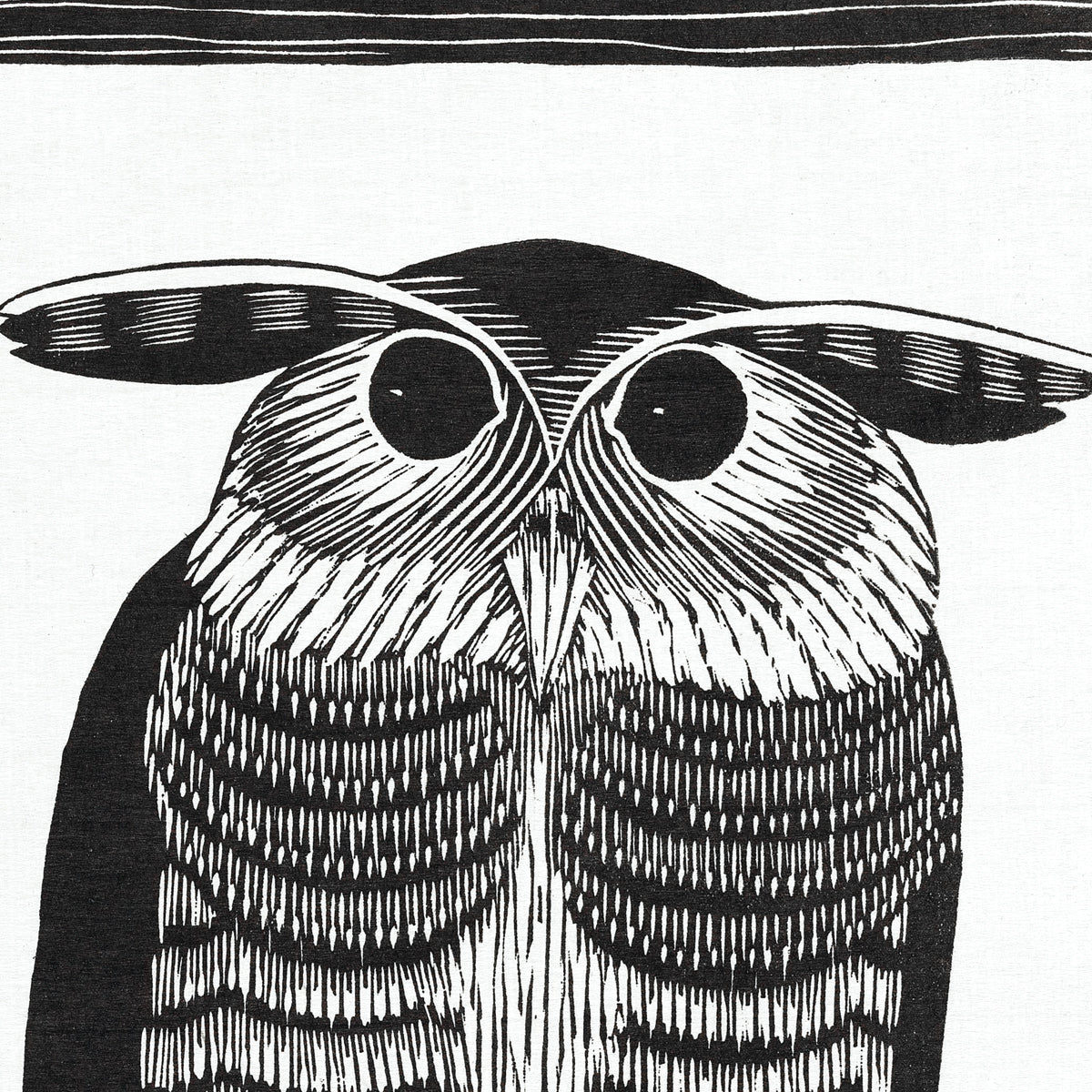 Horned owl