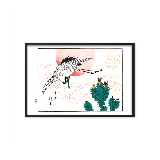Japanese crane