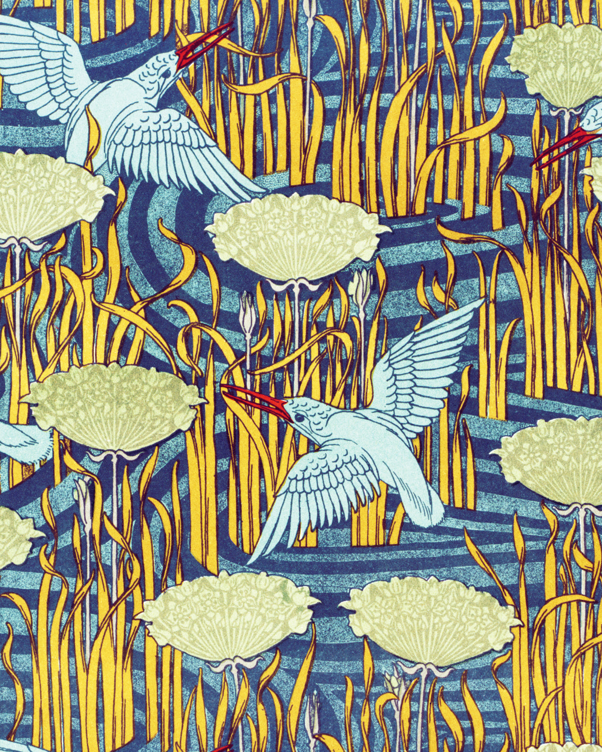 Martins-pêcheurs