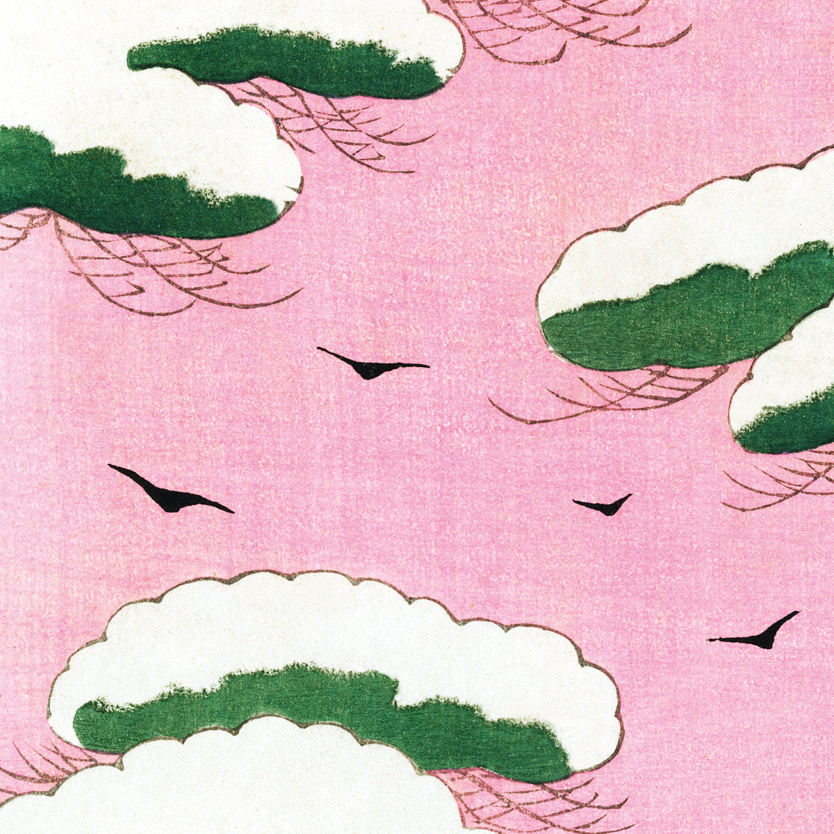 Pink sky