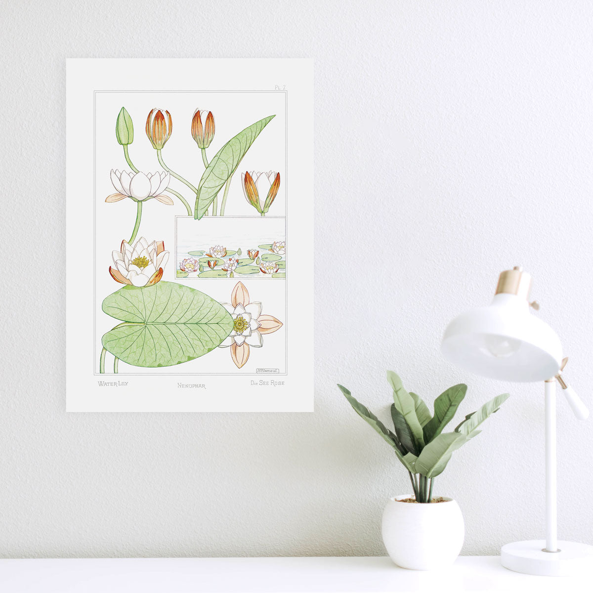 Nenuphar (Water-Lily) - #7