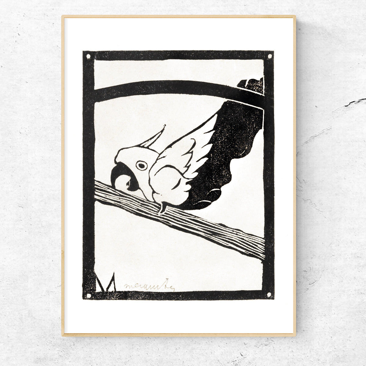 Screaming Cockatoo