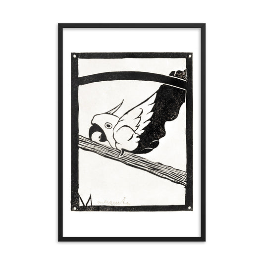 Screaming Cockatoo