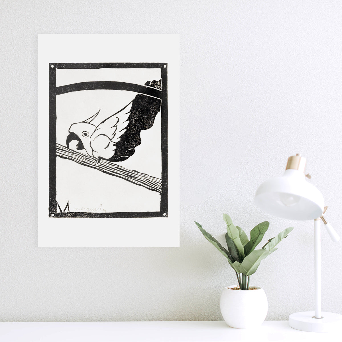Screaming Cockatoo