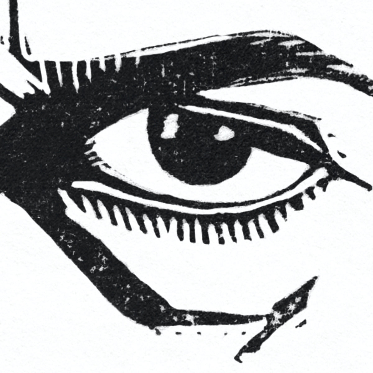 Self–portrait of the eyes