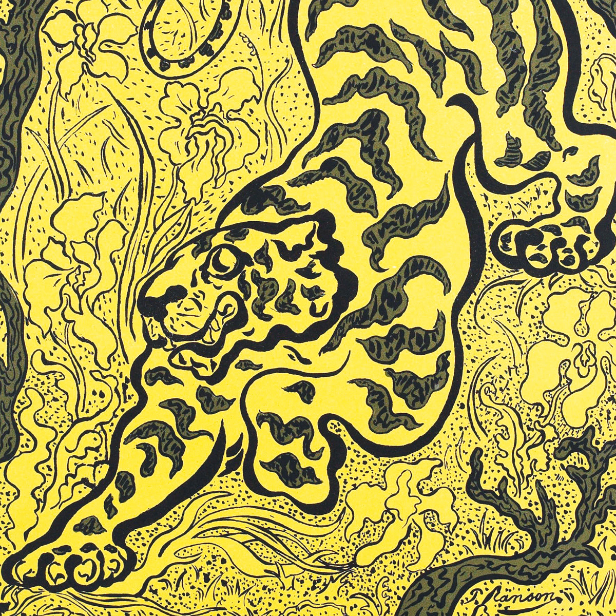 Tigre dans les jungles