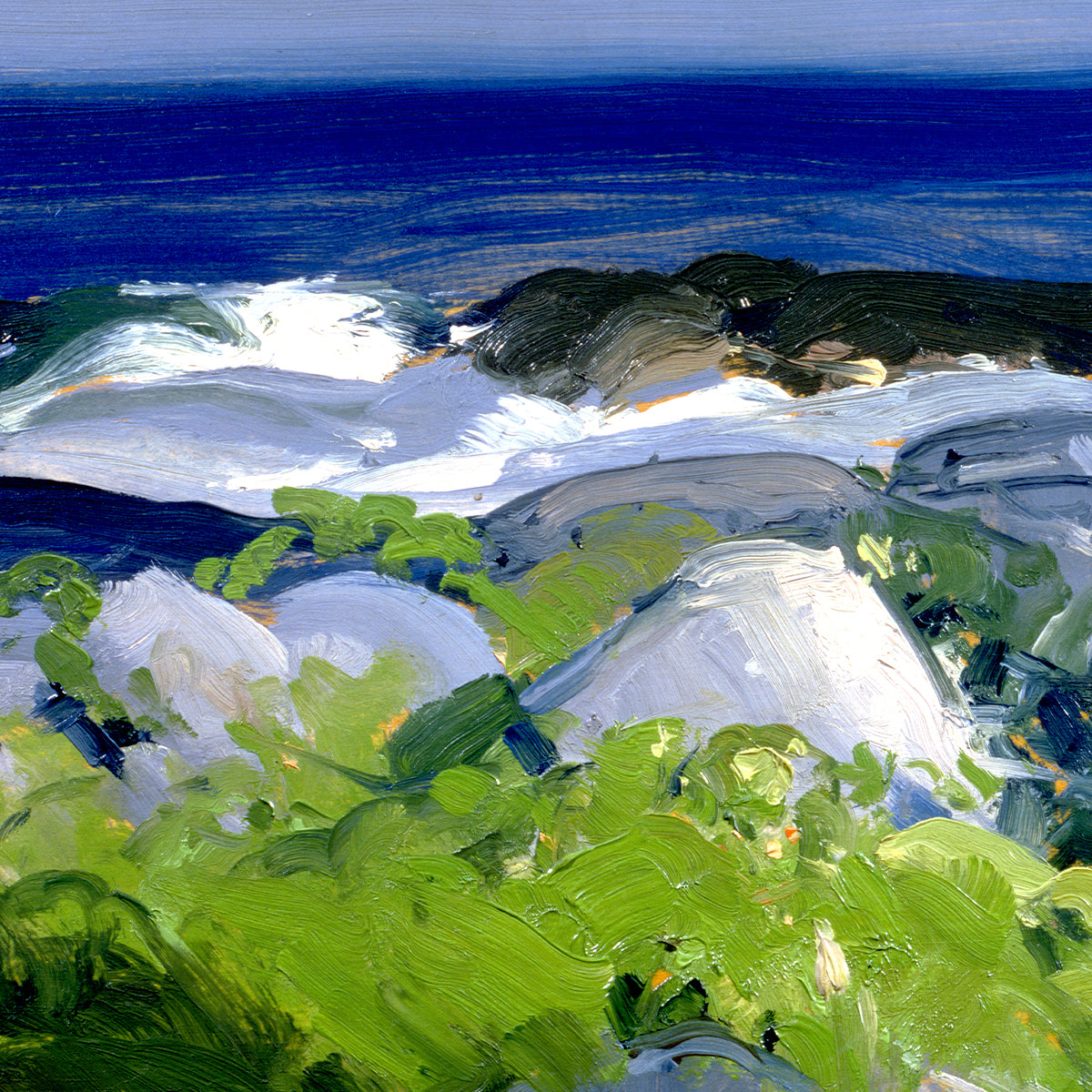 Vine Clad Shore – Monhegan Island