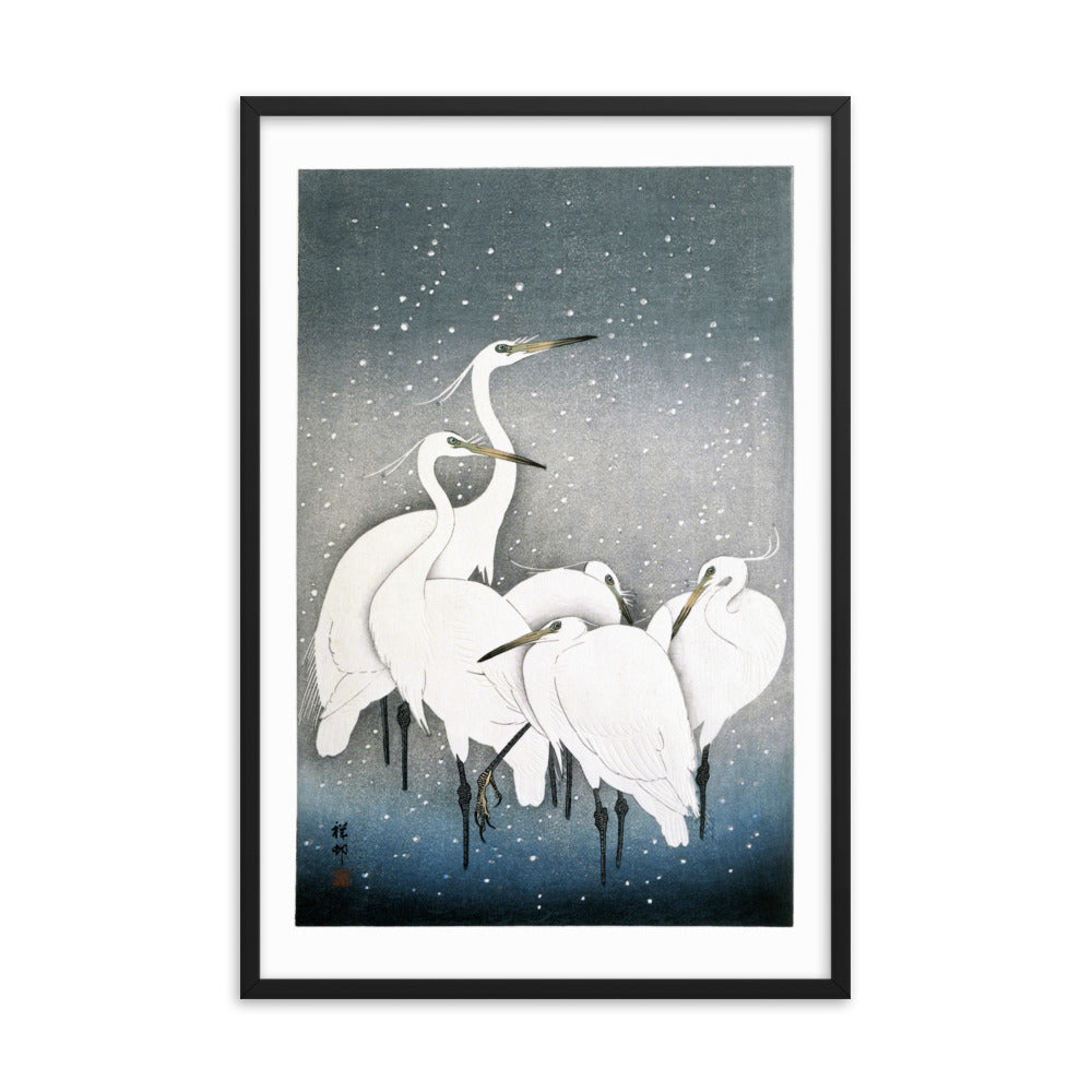 Group of Egrets