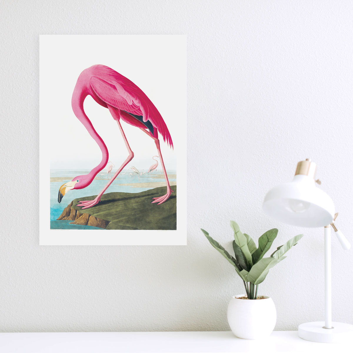 American Flamingo - Fine Art Print - John James Audubon – Vintage